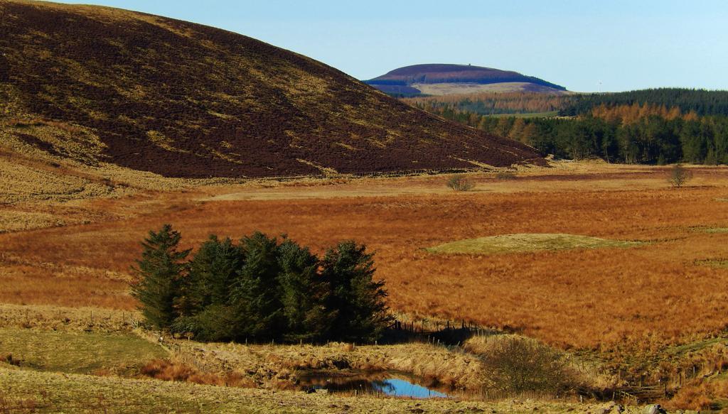 Scotland Paradise Relax Accommodation By Shooting Club Kirriemuir Balintore  Екстериор снимка