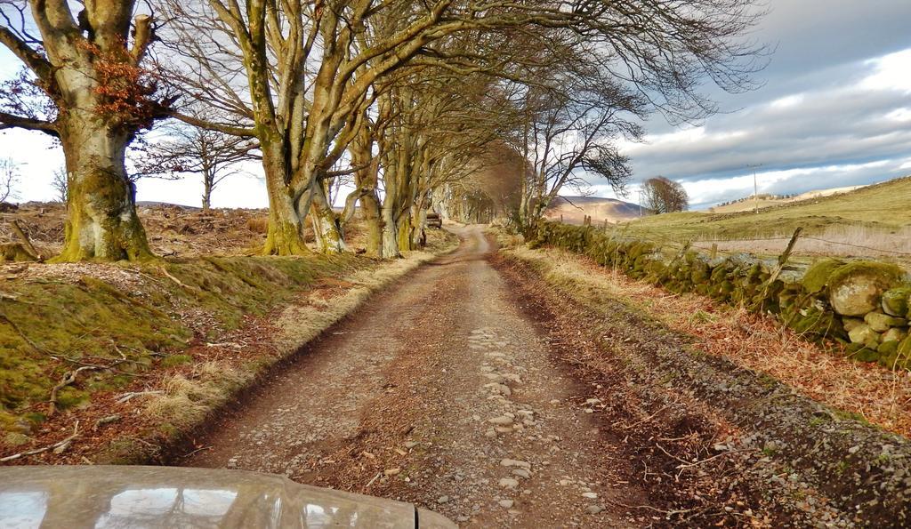 Scotland Paradise Relax Accommodation By Shooting Club Kirriemuir Balintore  Екстериор снимка